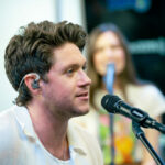 Niall Horan The Show 1024x683