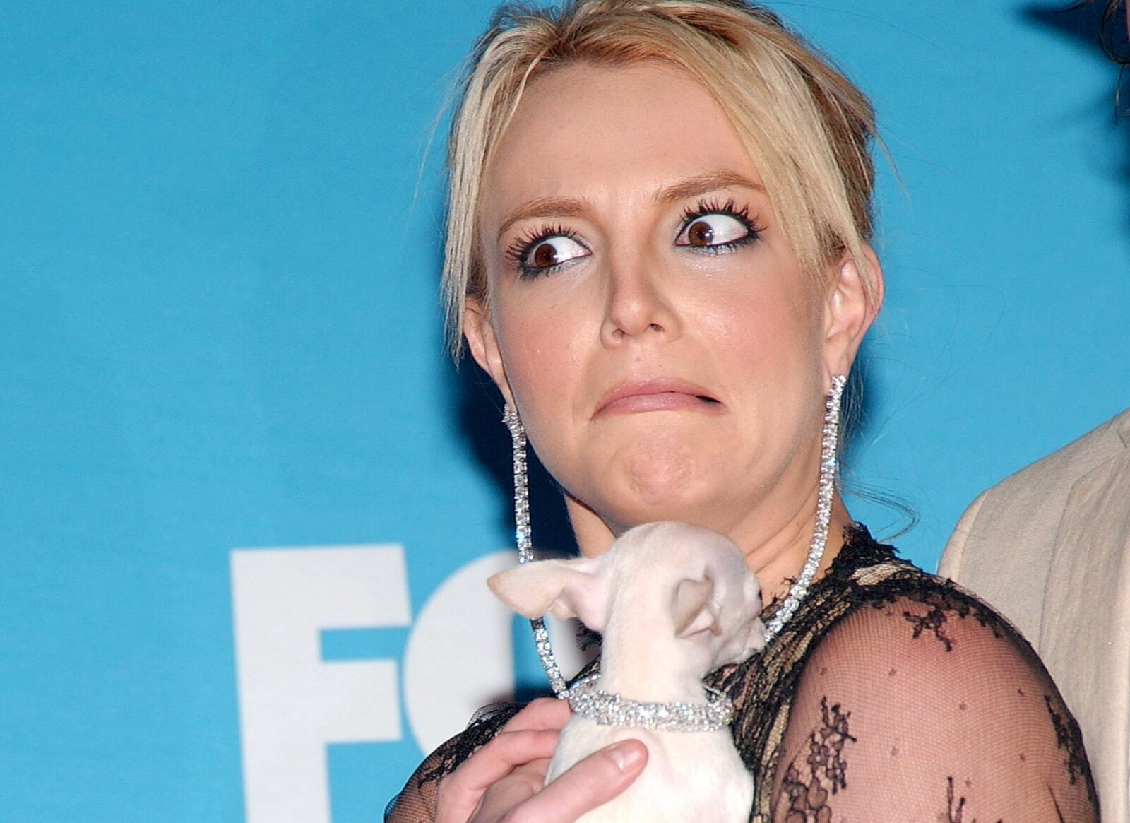 Britney Spears doet nieuwe aankoop na aankondiging van scheiding een hond