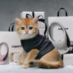 Coperni bewijst dat kittens het ingredient zijn voor een campagne